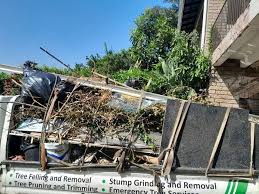 Best Residential Junk Removal in Center Point, NM